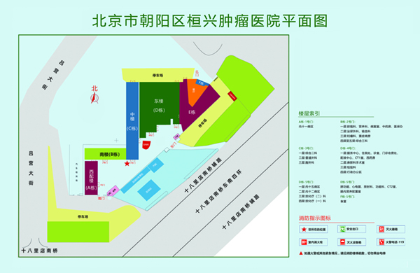 饥渴的逼渴望着鸡巴视频北京市朝阳区桓兴肿瘤医院平面图